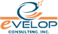 Evelop Consulting